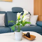 Horizont - B1014 By Interhome Lägenhet *