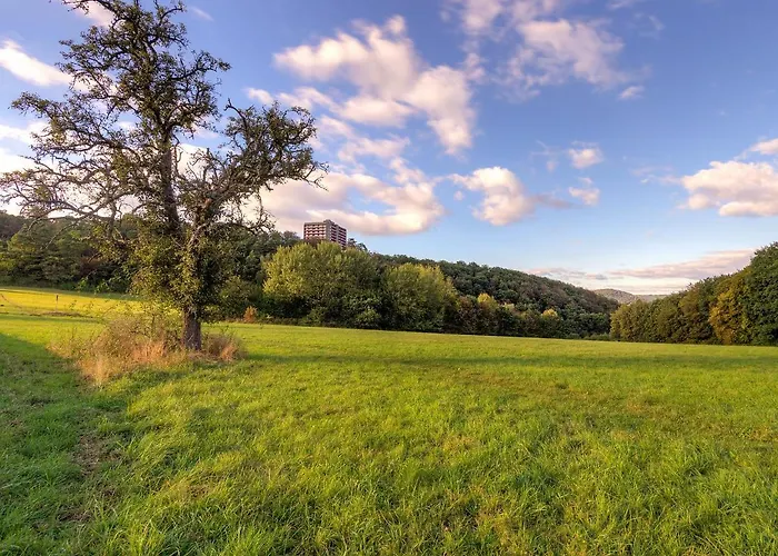 Horizont - B1014 By Interhome Apartamento Lahnstein